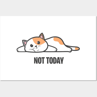 Not Today Cat Posters and Art